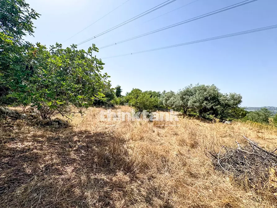 Immagine 17 di Terreno agricolo in vendita  in Strada Statale 124 a Buccheri