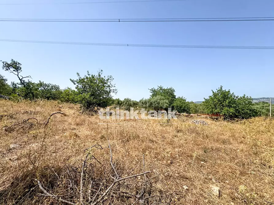 Immagine 18 di Terreno agricolo in vendita  in Strada Statale 124 a Buccheri