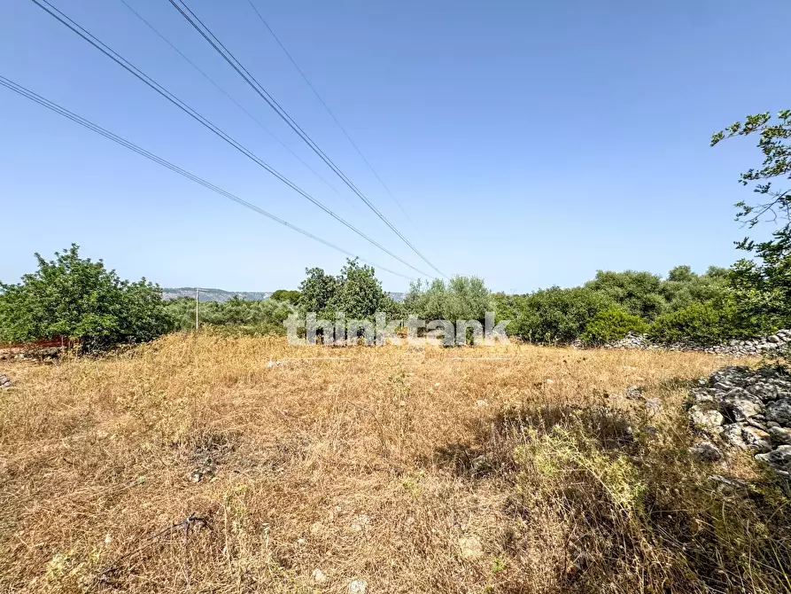 Immagine 19 di Terreno agricolo in vendita  in Strada Statale 124 a Buccheri