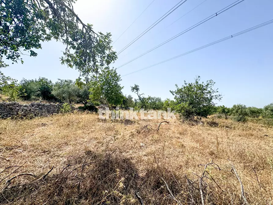Immagine 20 di Terreno agricolo in vendita  in Strada Statale 124 a Buccheri