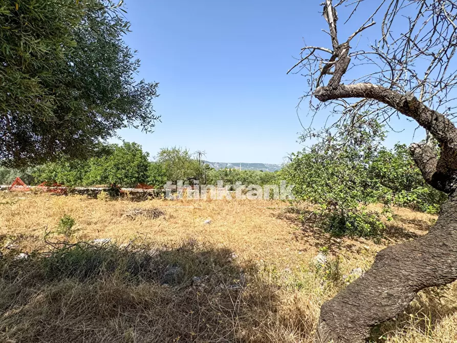 Immagine 21 di Terreno agricolo in vendita  in Strada Statale 124 a Buccheri