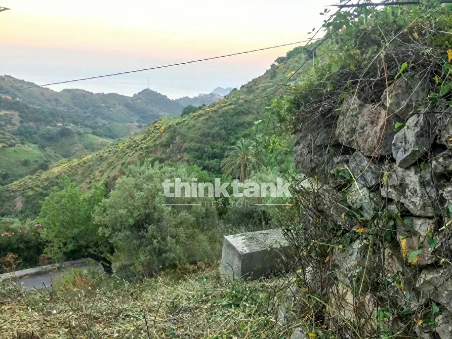 Immagine 3 di Rustico / casale in vendita  in Viale Europa a Antillo
