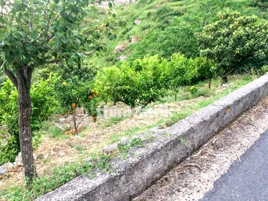 Immagine 4 di Rustico / casale in vendita  in Viale Europa a Antillo