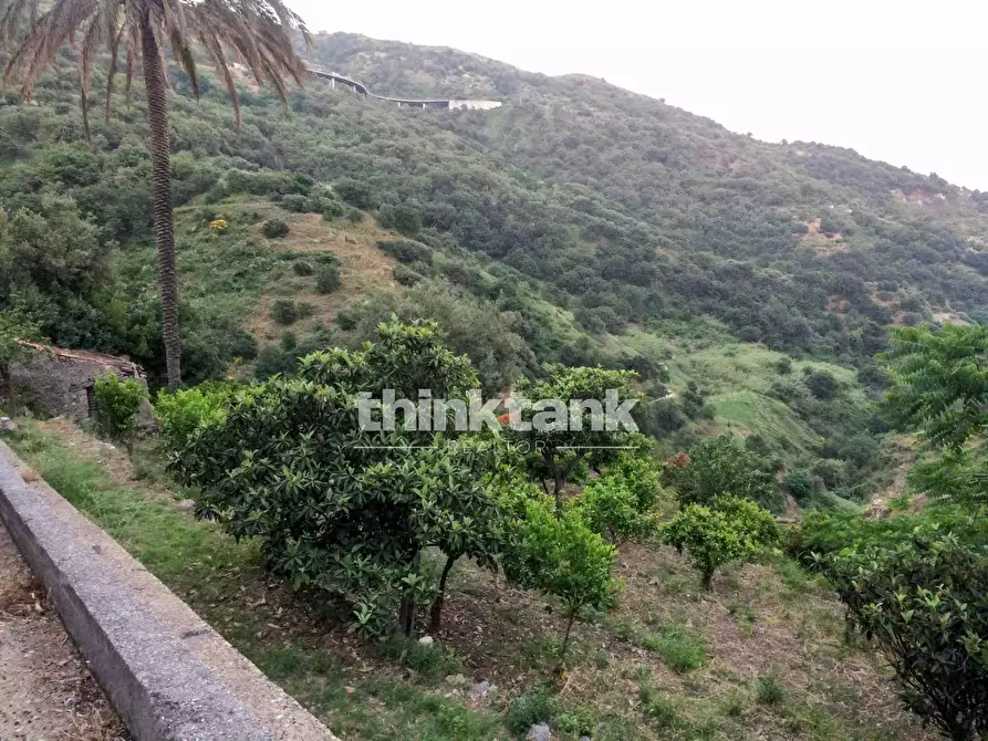 Immagine 5 di Rustico / casale in vendita  in Viale Europa a Antillo