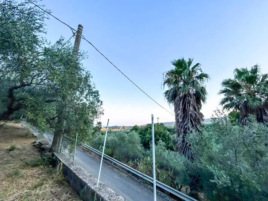 Immagine 19 di Rustico / casale in vendita  a Piedimonte Etneo