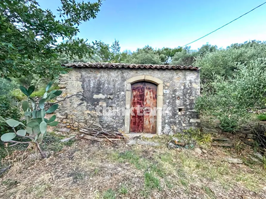 Immagine 21 di Rustico / casale in vendita  a Piedimonte Etneo