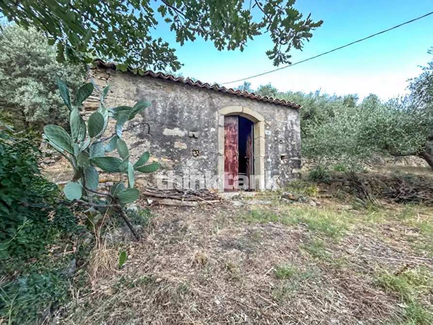 Immagine 7 di Rustico / casale in vendita  a Piedimonte Etneo