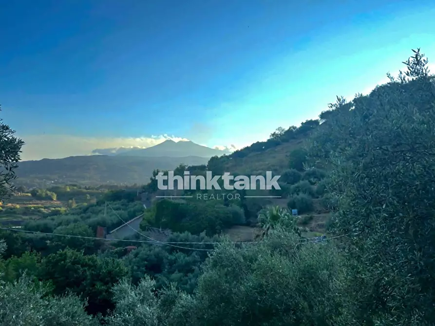 Immagine 22 di Rustico / casale in vendita  a Piedimonte Etneo