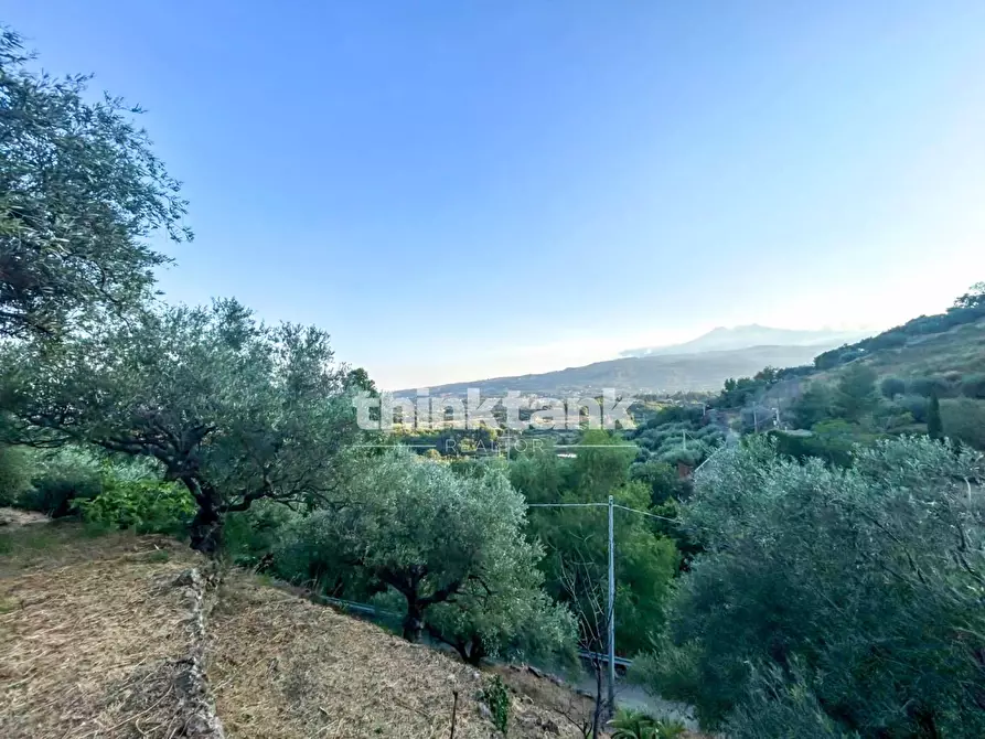 Immagine 8 di Rustico / casale in vendita  a Piedimonte Etneo