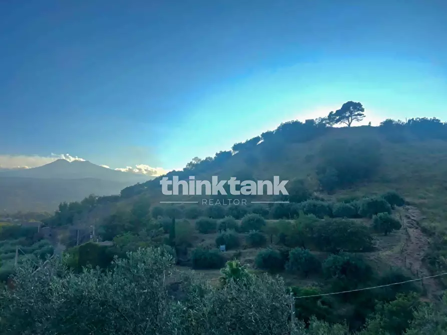 Immagine 9 di Rustico / casale in vendita  a Piedimonte Etneo