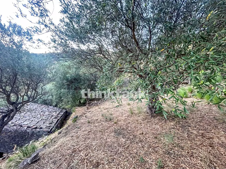 Immagine 10 di Rustico / casale in vendita  a Piedimonte Etneo