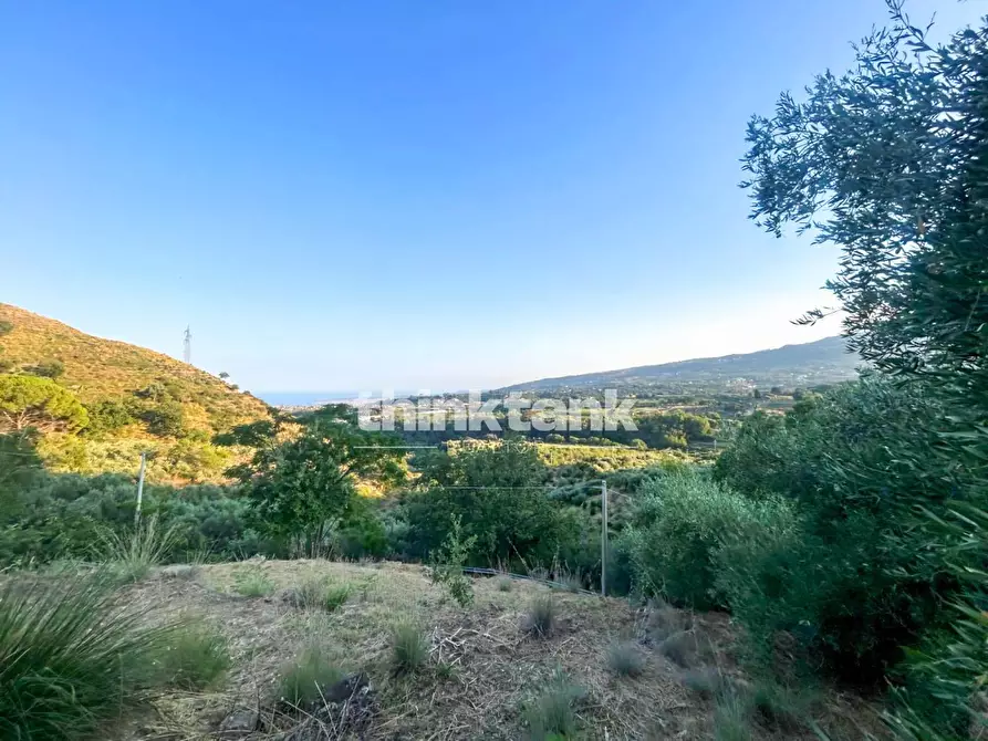 Immagine 11 di Rustico / casale in vendita  a Piedimonte Etneo