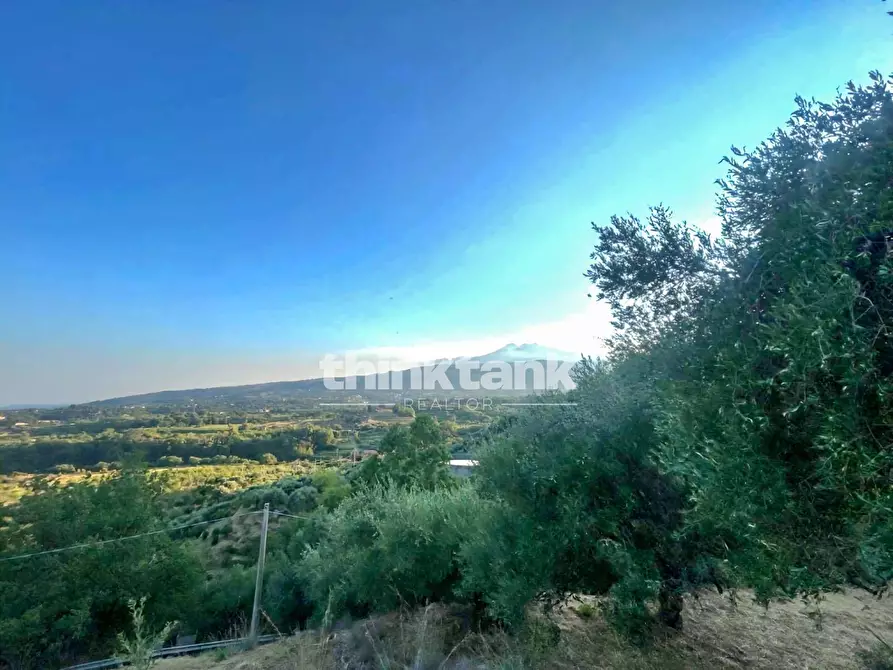 Immagine 15 di Rustico / casale in vendita  a Piedimonte Etneo