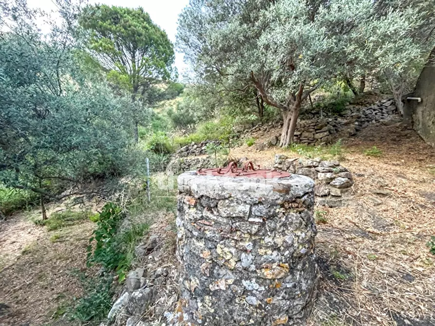 Immagine 13 di Rustico / casale in vendita  a Piedimonte Etneo