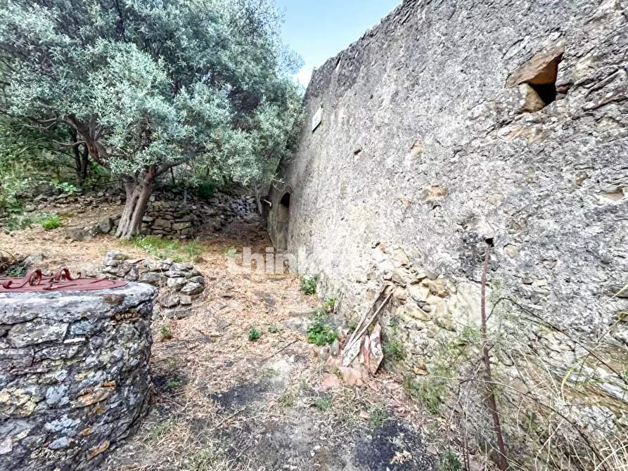 Immagine 17 di Rustico / casale in vendita  a Piedimonte Etneo