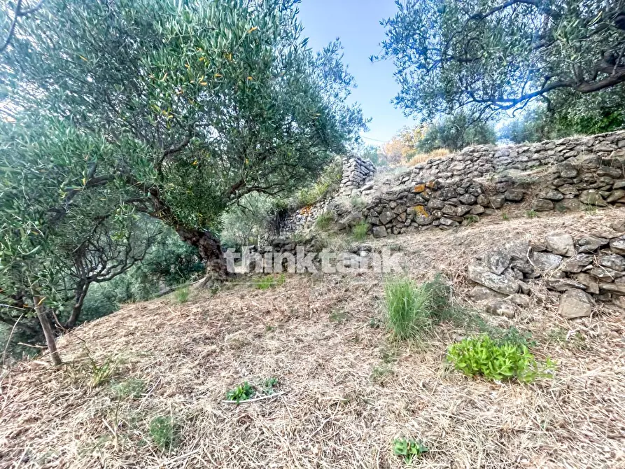 Immagine 18 di Rustico / casale in vendita  a Piedimonte Etneo