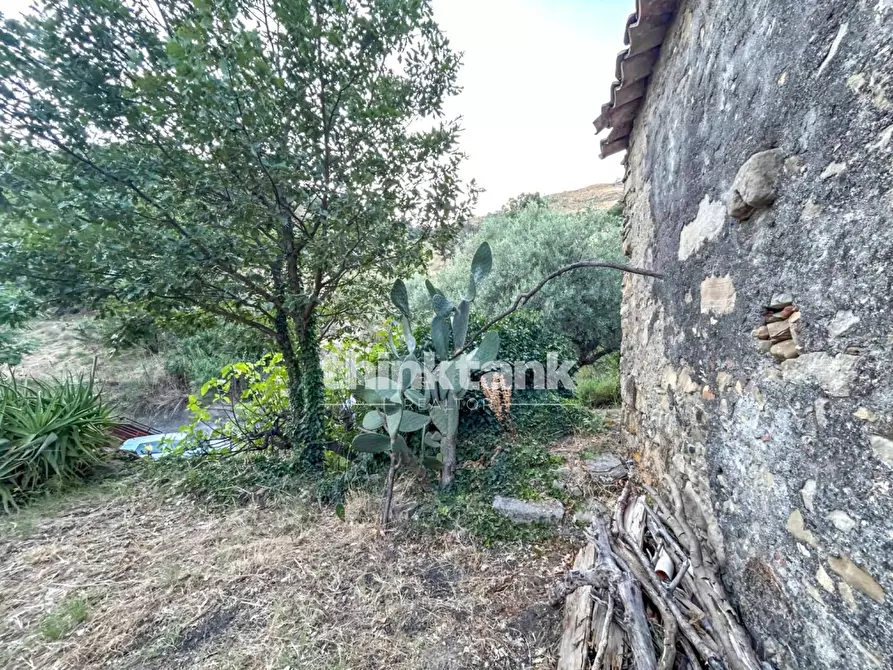 Immagine 20 di Rustico / casale in vendita  a Piedimonte Etneo