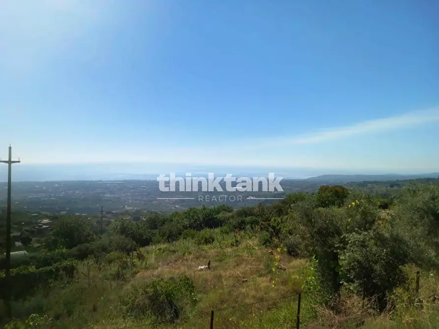 Immagine 6 di Villa in vendita  a Milo