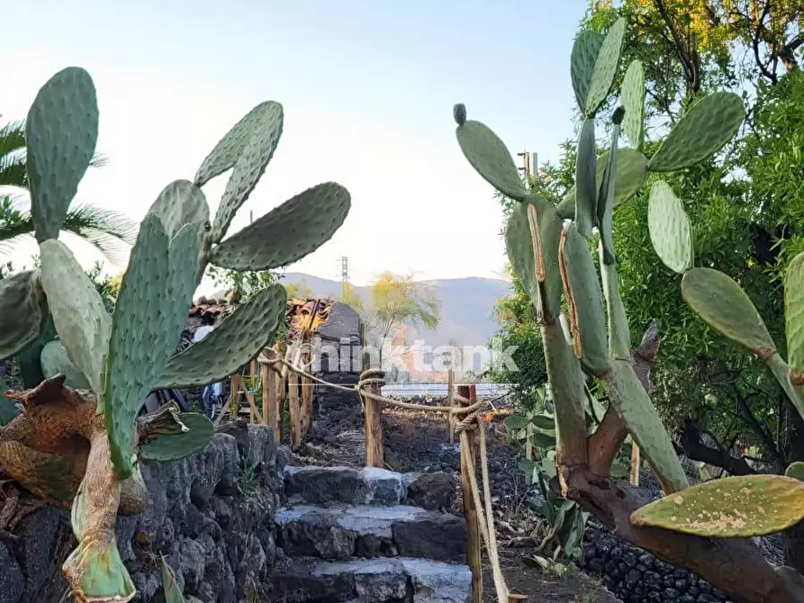 Immagine 18 di Rustico / casale in vendita  in Viale Regina Margherita a Castiglione Di Sicilia