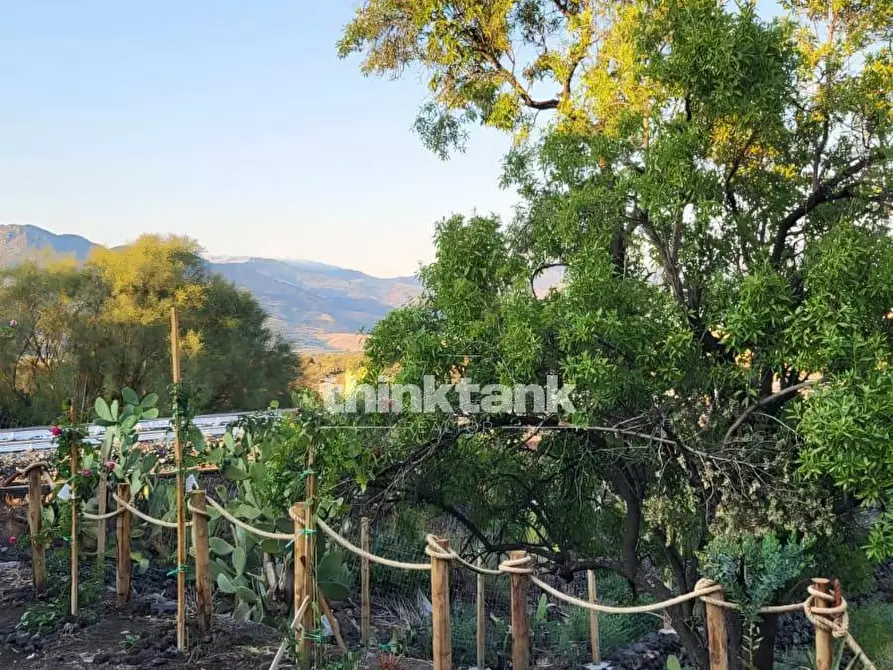 Immagine 20 di Rustico / casale in vendita  in Viale Regina Margherita a Castiglione Di Sicilia