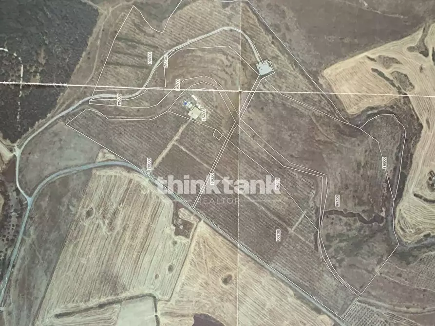 Immagine 15 di Villa in vendita  in Strada Provinciale 194 a Francofonte