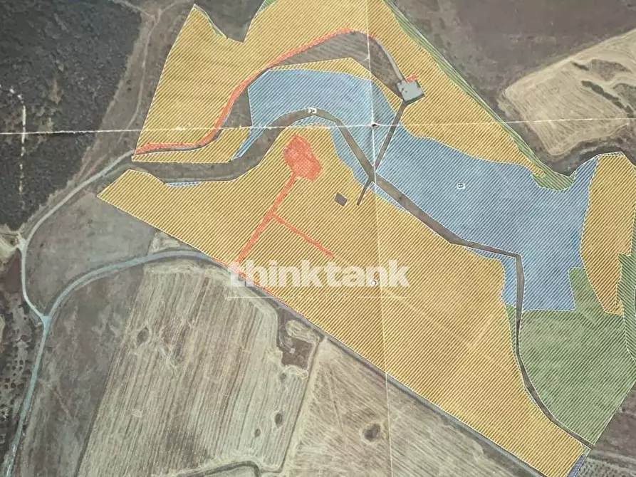 Immagine 16 di Villa in vendita  in Strada Provinciale 194 a Francofonte