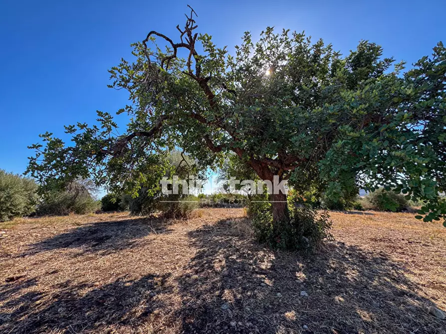 Immagine 3 di Rustico / casale in vendita  in Contrada Bosco di sopra a Buccheri