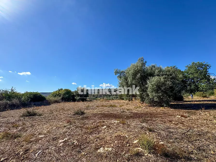 Immagine 21 di Rustico / casale in vendita  in Contrada Bosco di sopra a Buccheri