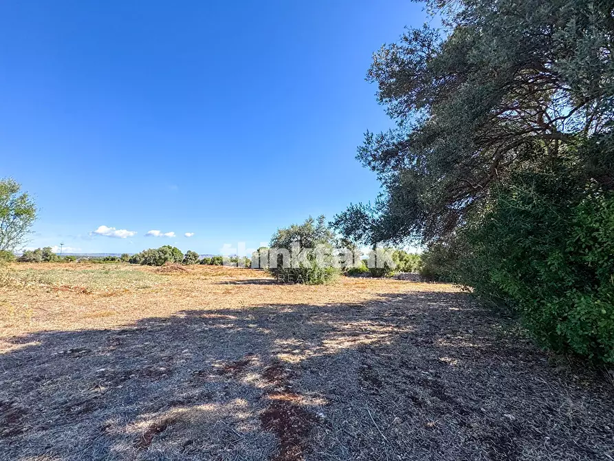 Immagine 37 di Rustico / casale in vendita  in Contrada Bosco di sopra a Buccheri
