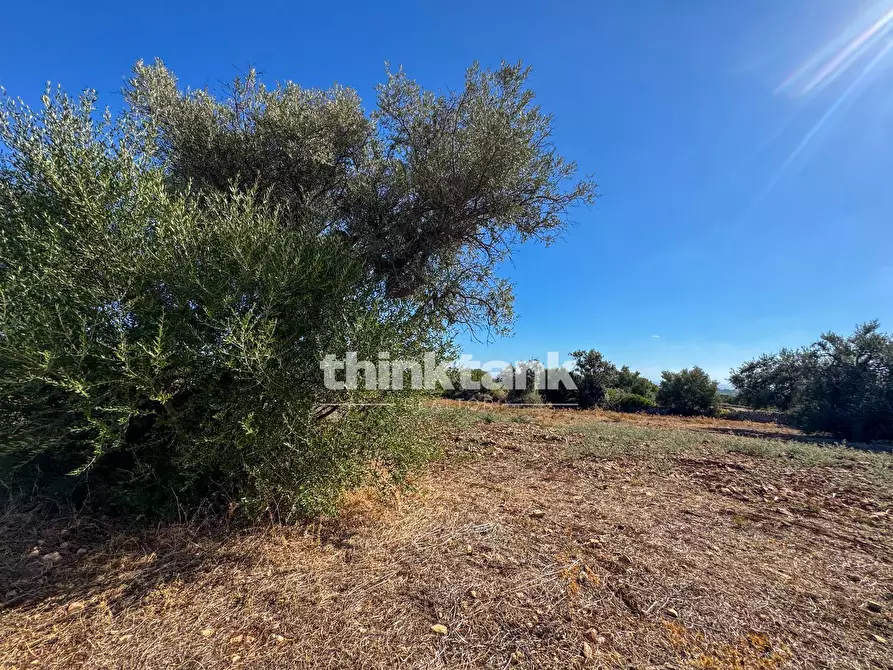 Immagine 40 di Rustico / casale in vendita  in Contrada Bosco di sopra a Buccheri