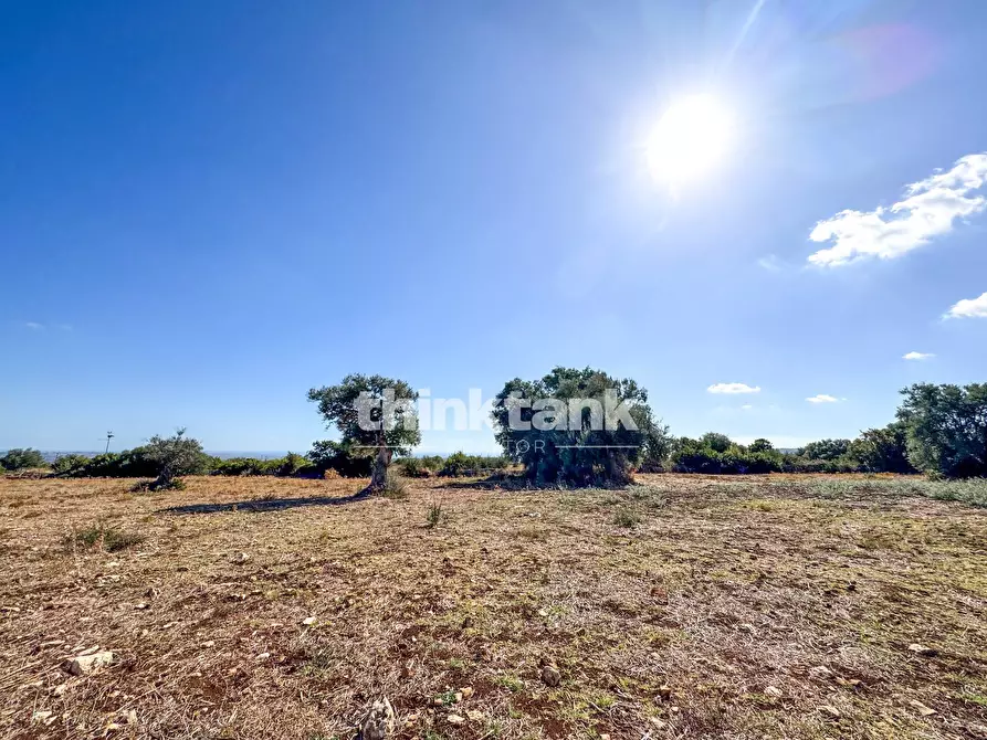 Immagine 4 di Rustico / casale in vendita  in Contrada Bosco di sopra a Buccheri