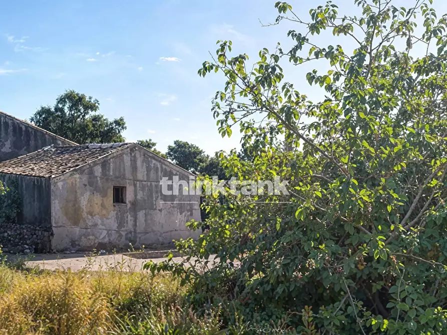 Immagine 11 di Rustico / casale in vendita  in Via Tavola a Piedimonte Etneo