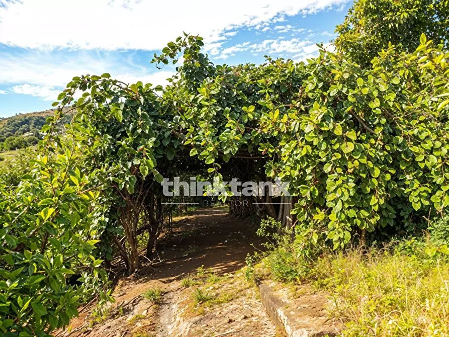 Immagine 12 di Rustico / casale in vendita  in Via Tavola a Piedimonte Etneo