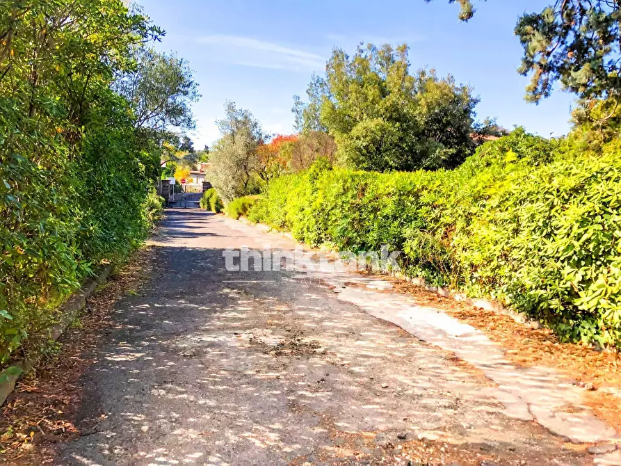 Immagine 25 di Villa in vendita  in Via Del Bosco a Gravina Di Catania