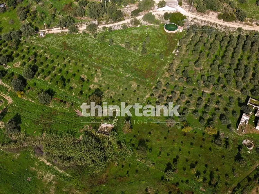 Immagine 1 di Terreno residenziale in vendita  in Via delle Ginestra a Avola