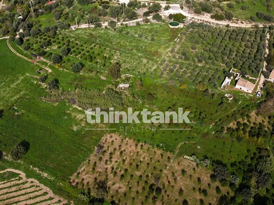 Immagine 2 di Terreno residenziale in vendita  in Via delle Ginestra a Avola