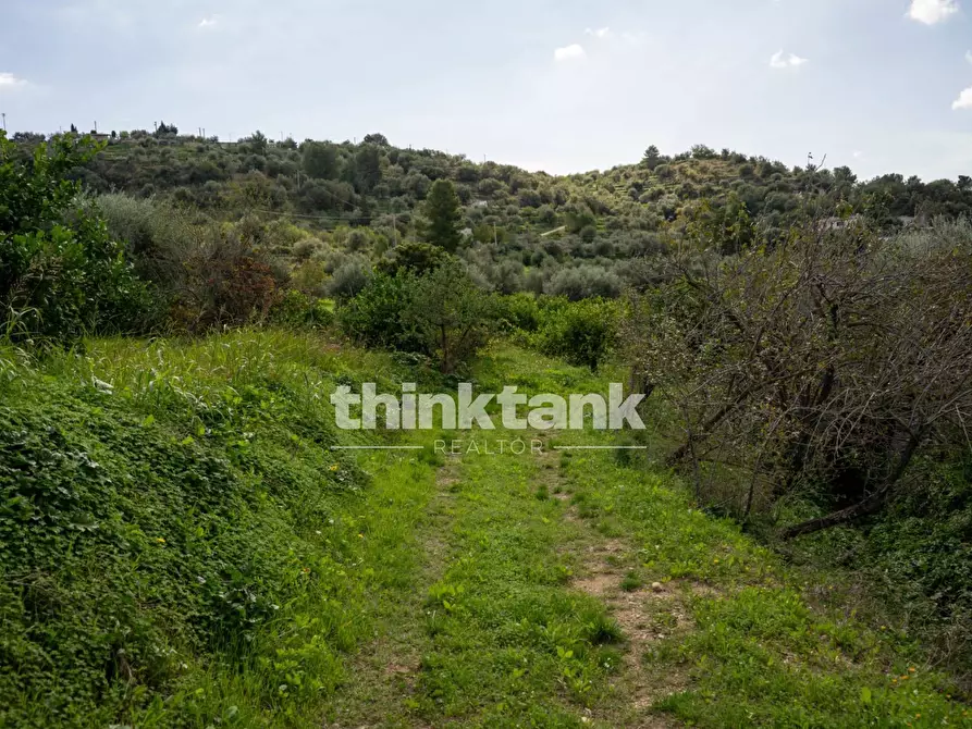 Immagine 36 di Terreno residenziale in vendita  in Via delle Ginestra a Avola