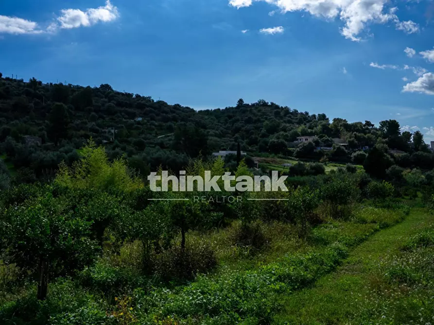 Immagine 45 di Terreno residenziale in vendita  in Via delle Ginestra a Avola