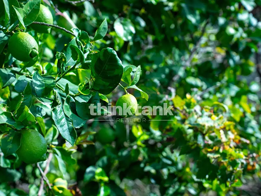 Immagine 57 di Terreno residenziale in vendita  in Via delle Ginestra a Avola