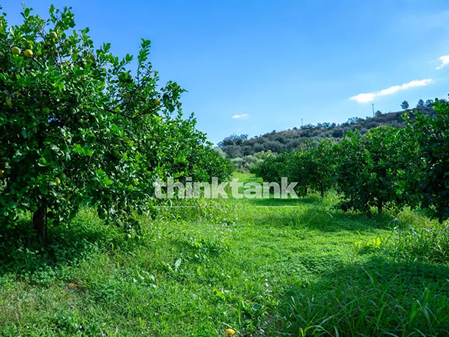 Immagine 59 di Terreno residenziale in vendita  in Via delle Ginestra a Avola