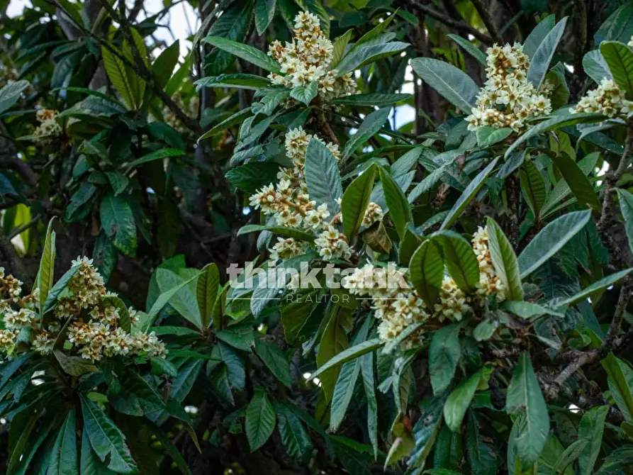 Immagine 61 di Terreno residenziale in vendita  in Via delle Ginestra a Avola