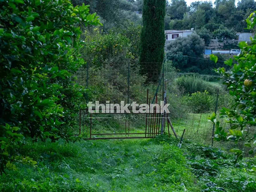 Immagine 63 di Terreno residenziale in vendita  in Via delle Ginestra a Avola