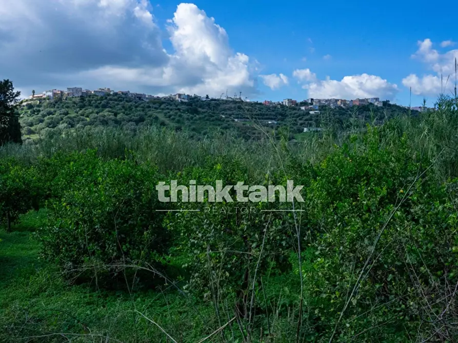 Immagine 67 di Terreno residenziale in vendita  in Via delle Ginestra a Avola