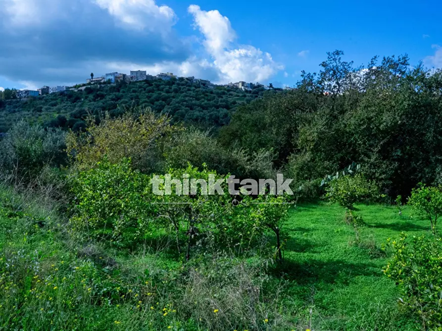 Immagine 72 di Terreno residenziale in vendita  in Via delle Ginestra a Avola