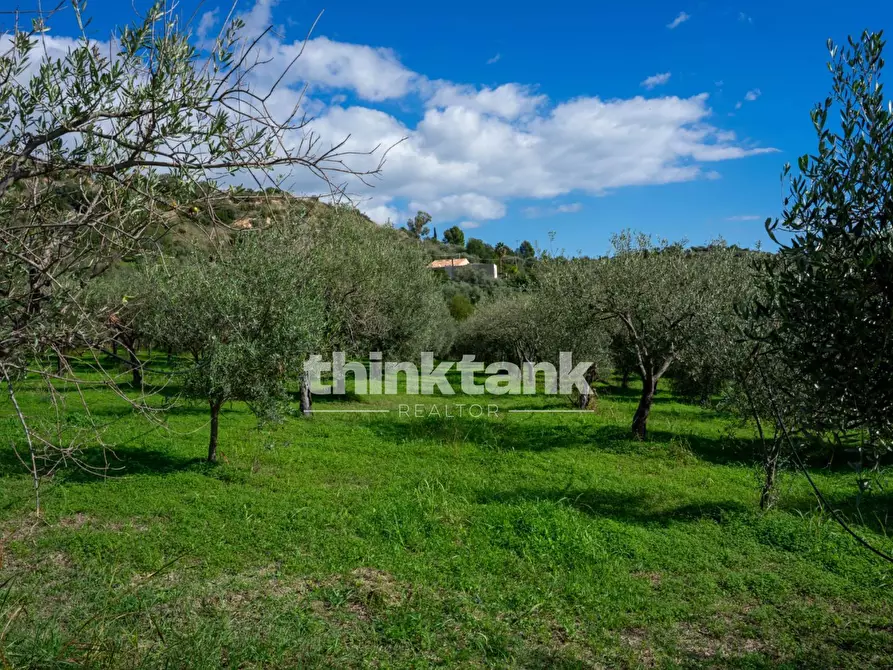 Immagine 79 di Terreno residenziale in vendita  in Via delle Ginestra a Avola