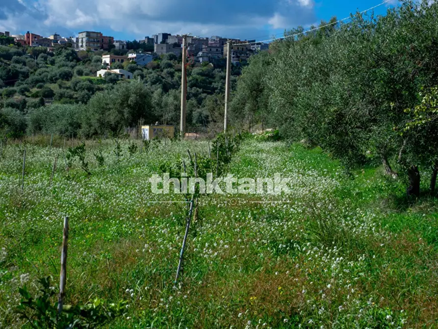 Immagine 80 di Terreno residenziale in vendita  in Via delle Ginestra a Avola
