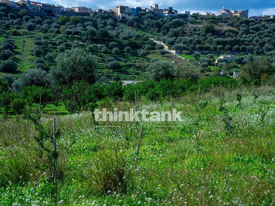 Immagine 81 di Terreno residenziale in vendita  in Via delle Ginestra a Avola