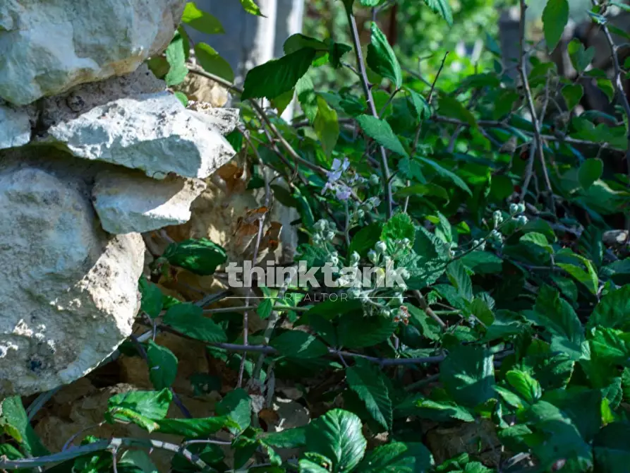 Immagine 89 di Terreno residenziale in vendita  in Via delle Ginestra a Avola
