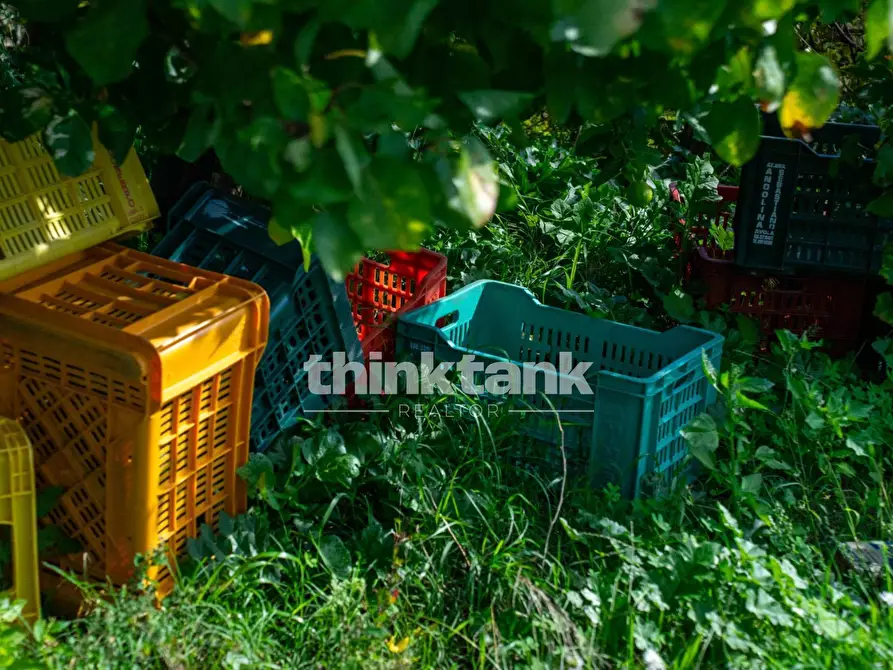 Immagine 16 di Rustico / casale in vendita  in Via della ginestra a Avola