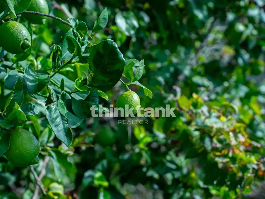 Immagine 18 di Rustico / casale in vendita  in Via della ginestra a Avola